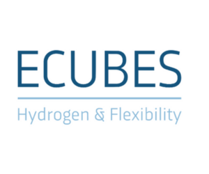Ecubes