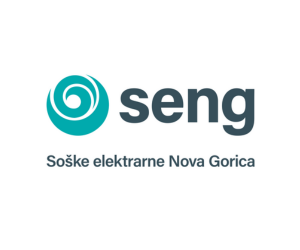 Seng 300x250
